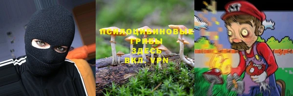 прущий лед Бронницы