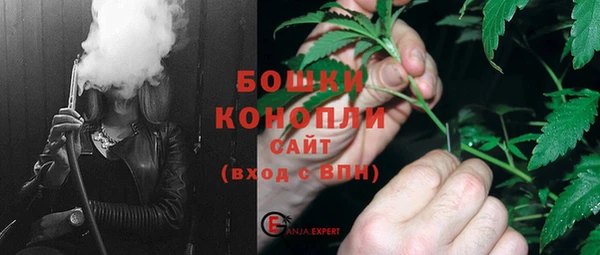 spice Бородино