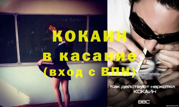 spice Бородино